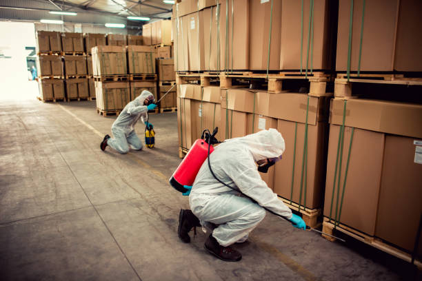 Best Flea Control Services  in Pottsboro, TX