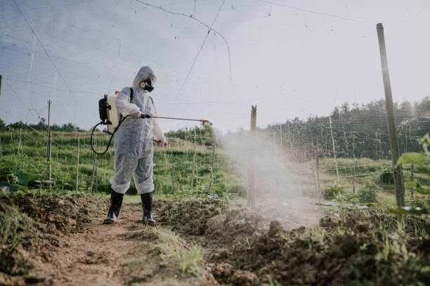 Best Best Pest Control Companies  in Pottsboro, TX