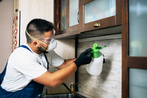 Best Rat Extermination Near Me  in Pottsboro, TX