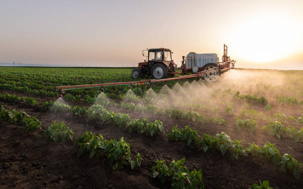 Best Mosquito Control Services  in Pottsboro, TX