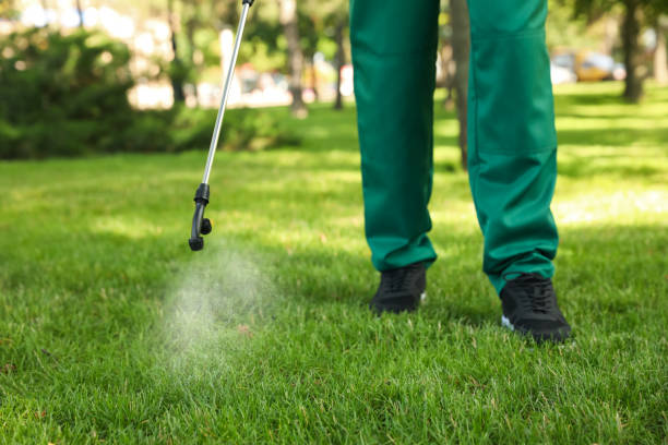 Best Wasp Removal Services  in Pottsboro, TX