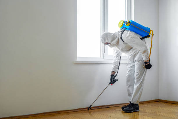 Best Flea Control Services  in Pottsboro, TX