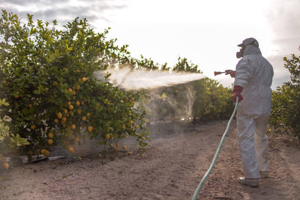 Best Exterminator Services  in Pottsboro, TX