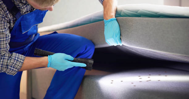 Best Wasp Removal Services  in Pottsboro, TX