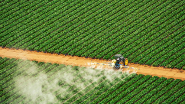 Best Pest Removal Services  in Pottsboro, TX
