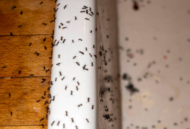Best Commercial Pest Control Services  in Pottsboro, TX