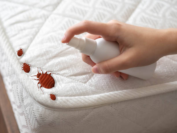 Best Pest Prevention Services  in Pottsboro, TX