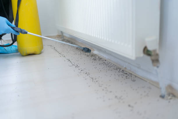 Best Rat Extermination Near Me  in Pottsboro, TX