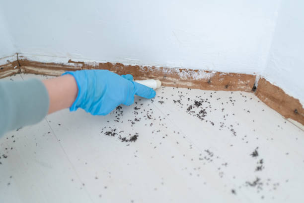  Pottsboro, TX Pest Control Pros
