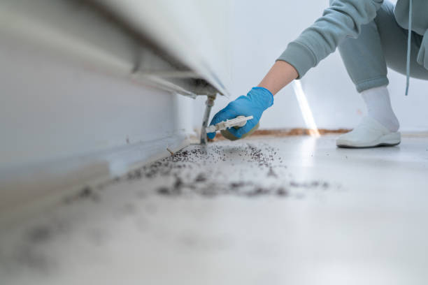 Best Cockroach Control Services  in Pottsboro, TX